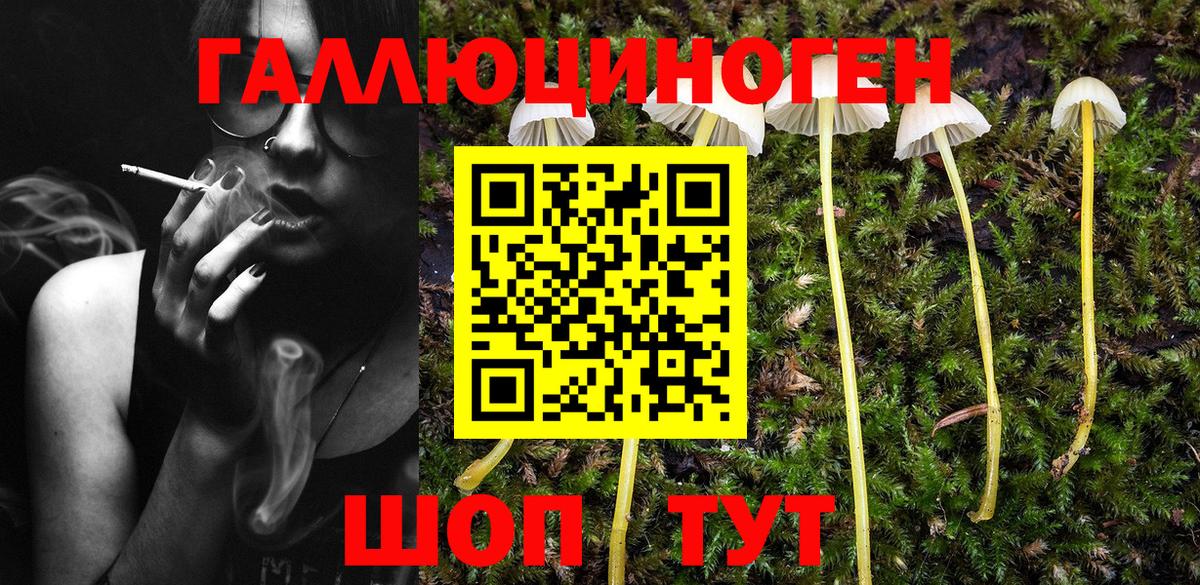 Псилоцибиновые грибы ЛСД Каспийск