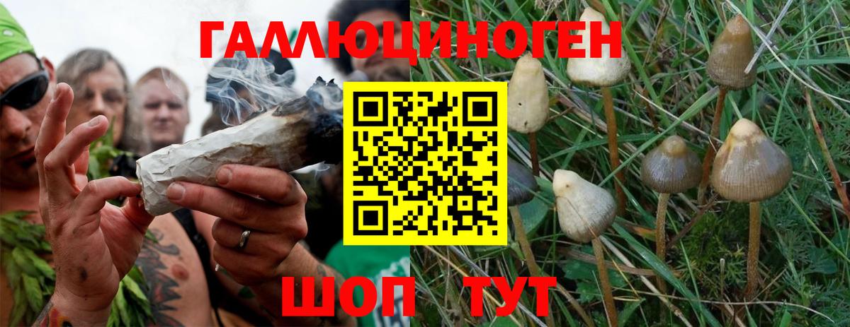 Каспийск  Галлюциногенные грибы Magic Shrooms  Вход с VPN 